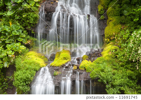Dragon waterfall Dragon waterfall 11691745