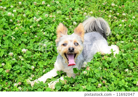 休息一下♪ 11692047