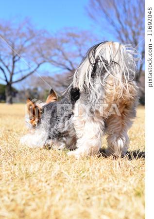 Rising up ♪ 11692048