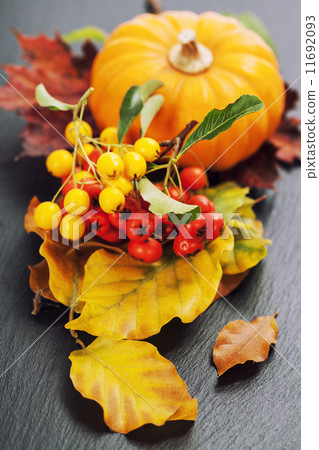 Autumn composition 11692093