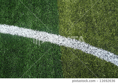 soccer field grass soccer field grass 11692636