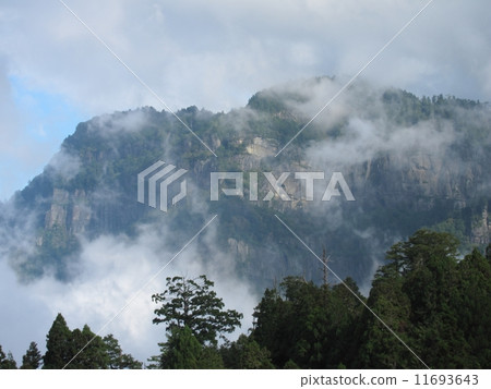 台灣阿里山國家森林遊樂區阿里山 11693643