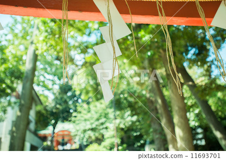 鳥居,神社,紙草(白皮書) 鳥居,神社,紙草(白皮書) 11693701