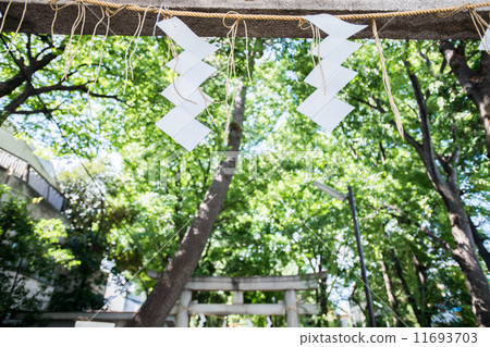 Torii, shrine, paper grass (white paper) 11693703