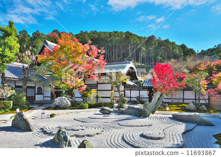 Genkyoji的秋天 11693867