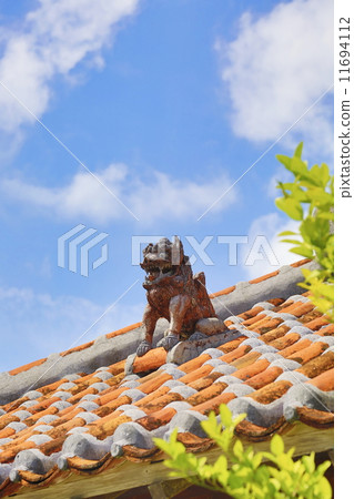 Seasa image on the roof 11694112
