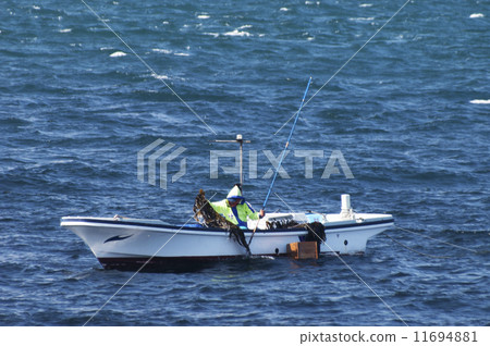 Picking kelp Picking kelp 11694881
