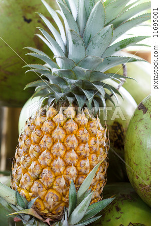 pine apples pine apples 11695001