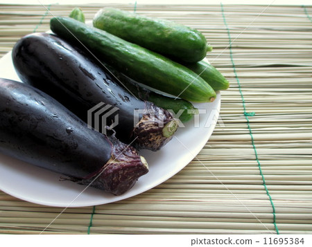 Makoto(Makomon)在Obon Bonsai和夏季蔬菜上傳播 Makoto(Makomon)在Obon Bonsai和夏季蔬菜上傳播 11695384