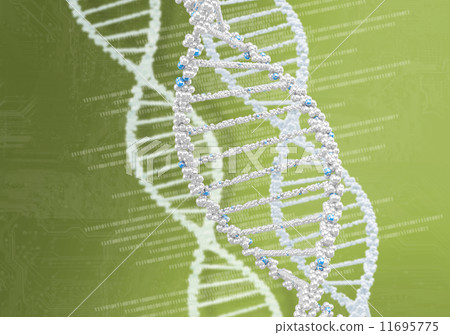DNA helix against the colored background 11695775