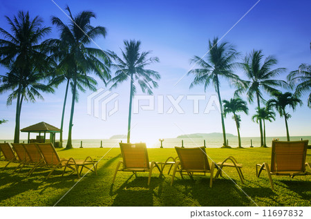 Deckchairs on beach 11697832