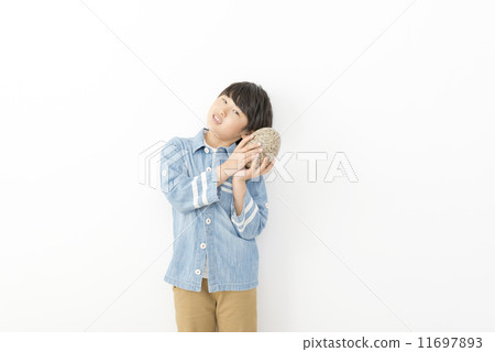 小學男孩恐龍蛋 11697893