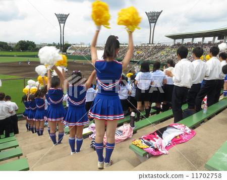 Cheerleader to support the alma mater 11702758