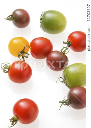 Mini Tomato Mini Tomato 11703397