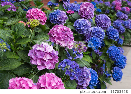 Victoria & Albert Museum 11703528