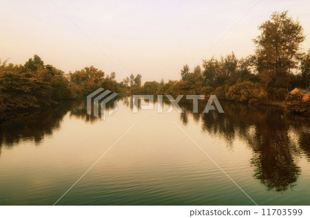River 11703599