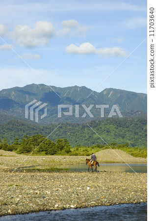 Man on Horse 11703640