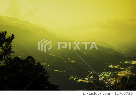 Banaue Banaue 11703726