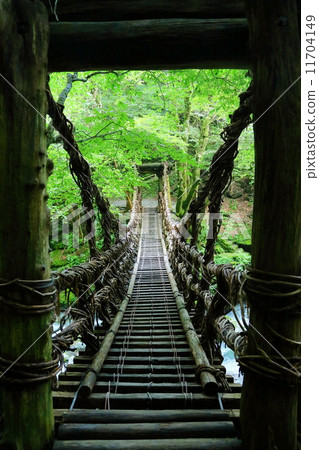 Tokushima Prefecture: Kazura Bridge in Iya Tokushima Prefecture: Kazura Bridge in Iya 11704149