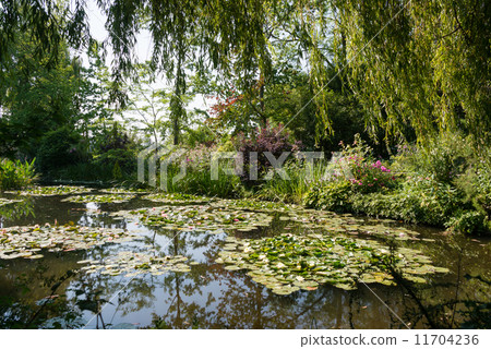 克勞德·莫奈的花園 11704236