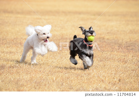 等等〜♪ 等等〜♪ 11704814