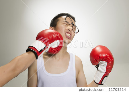 Portrait of Asian Boxer 11705214