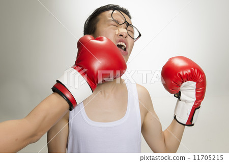 Portrait of Asian Boxer 11705215