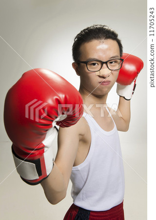 Portrait of Asian Boxer 11705243