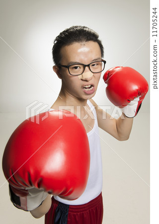 Portrait of Asian Boxer 11705244