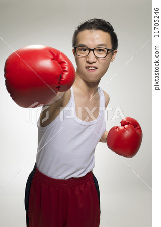 Portrait of Asian Boxer 11705246