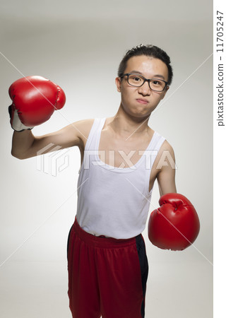 Portrait of Asian Boxer 11705247