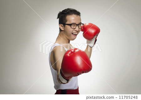 Portrait of Asian Boxer 11705248