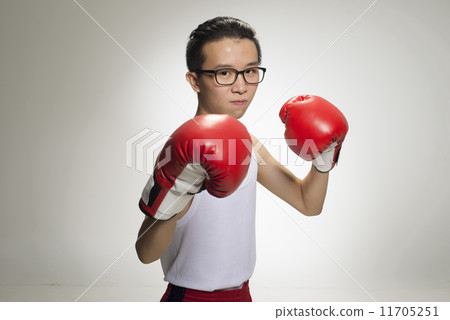 Portrait of Asian Boxer 11705251