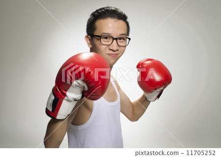 Portrait of Asian Boxer 11705252