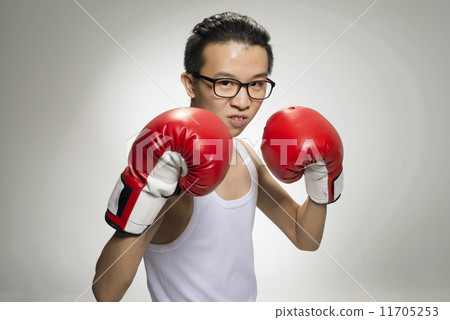 Portrait of Asian Boxer 11705253