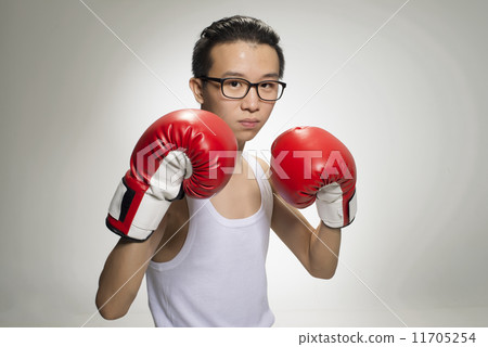 Portrait of Asian Boxer 11705254