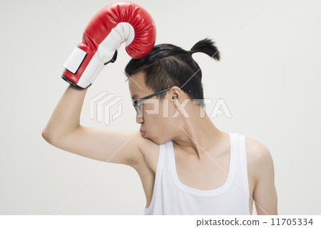 Portrait of Asian Boxer 11705334