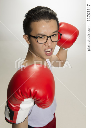 Portrait of Asian Boxer 11705347