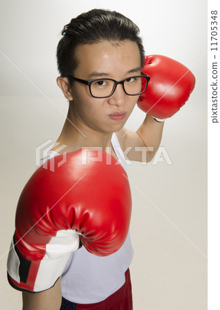 Portrait of Asian Boxer 11705348