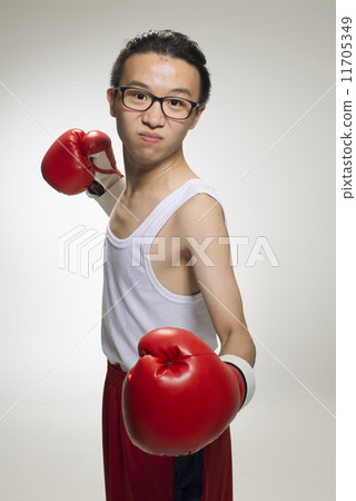 Portrait of Asian Boxer 11705349