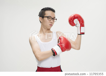 Portrait of Asian Boxer 11705355