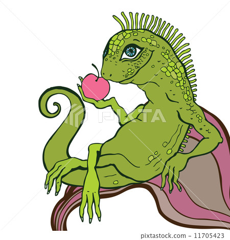 Lizard. Lizard. 11705423