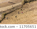 farmers at work 11705651