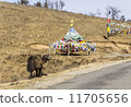 yak and prayer flags 11705656