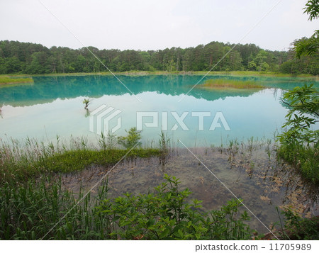 Benten-numa 11705989