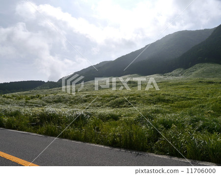 仙石原sengokuhara 仙石原sengokuhara 11706000