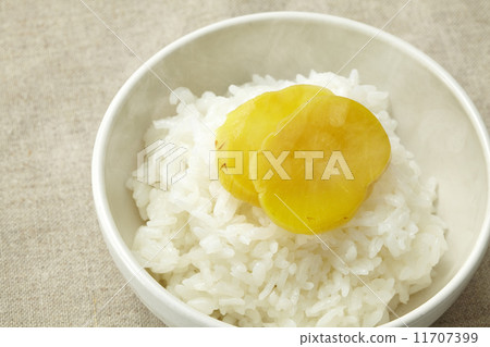 Taman and rice 11707399