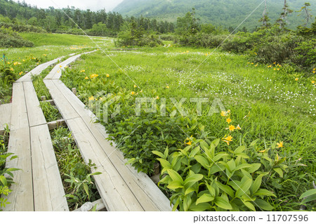 Tsugaike Nature Park Tsugaike Nature Park 11707596