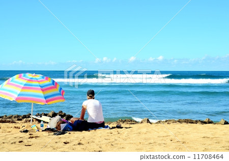 夏威夷的假期 11708464