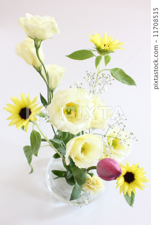 蓮花,土耳其中國人和向日葵的安排 蓮花,土耳其中國人和向日葵的安排 11708515